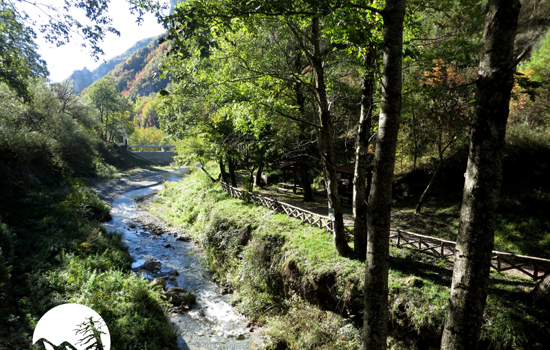 Il fiume Garga nella valle di Saracena